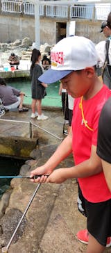 城崎マリンワールドに投稿された画像（2024/8/13）