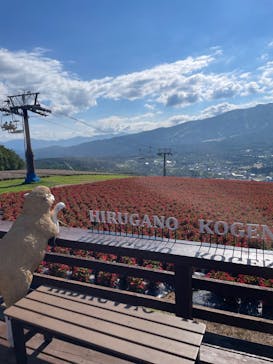 ひるがのピクニックガーデンに投稿された画像（2024/8/13）