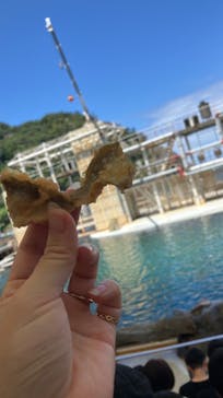 城崎マリンワールドに投稿された画像（2024/8/13）