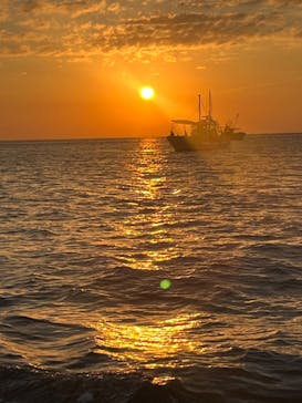 釣り船まるかつに投稿された画像（2024/8/13）