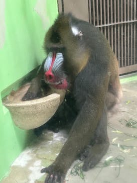 名古屋市東山動植物園に投稿された画像（2024/8/13）