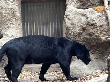 名古屋市東山動植物園に投稿された画像（2024/8/13）