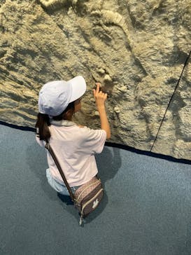 名古屋港水族館に投稿された画像（2024/8/13）