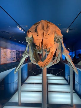 名古屋港水族館に投稿された画像（2024/8/13）