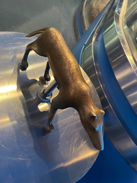 名古屋港水族館に投稿された画像（2024/8/13）