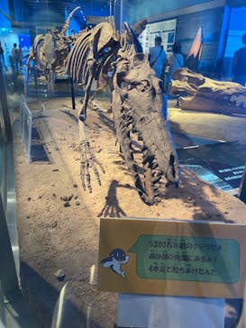 名古屋港水族館に投稿された画像（2024/8/13）