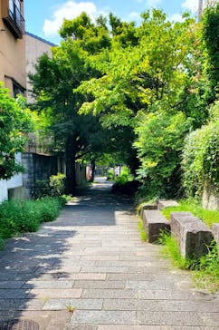京都ミステリー紀行に投稿された画像（2024/8/12）