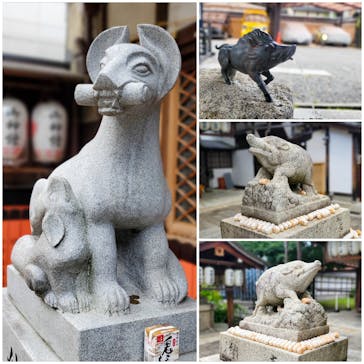 京都ミステリー紀行に投稿された画像（2024/8/12）
