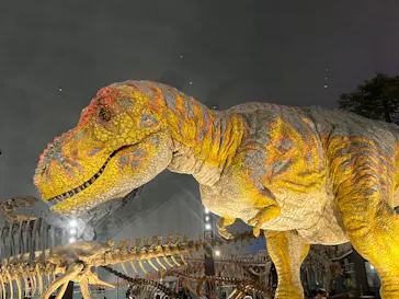 福井県立恐竜博物館に投稿された画像（2024/8/13）