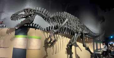 福井県立恐竜博物館に投稿された画像（2024/8/13）