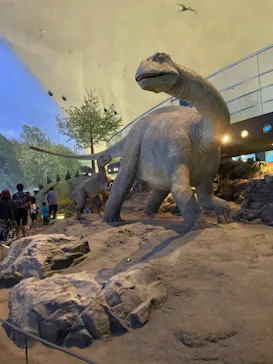 福井県立恐竜博物館に投稿された画像（2024/8/13）