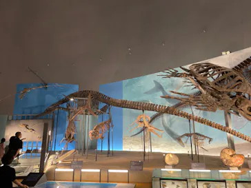 福井県立恐竜博物館に投稿された画像（2024/8/13）