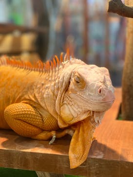 アニタッチPARKイオンモール太田に投稿された画像（2024/8/13）