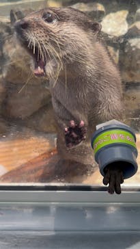 大分マリーンパレス水族館 「うみたまご」に投稿された画像（2024/8/13）