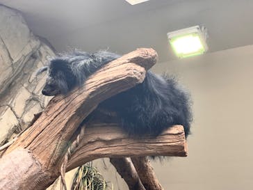 那須どうぶつ王国に投稿された画像（2024/8/13）