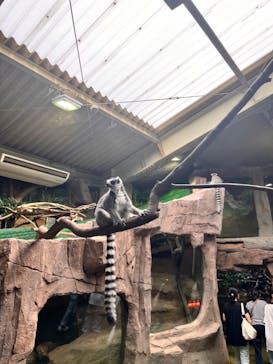 那須どうぶつ王国に投稿された画像（2024/8/13）