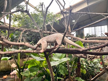 那須どうぶつ王国に投稿された画像（2024/8/13）