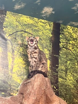 那須どうぶつ王国に投稿された画像（2024/8/13）