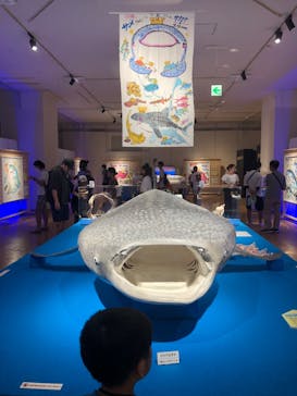 ギョギョッとサカナ★スター展　～お魚たちが教えてくれる海のこと～に投稿された画像（2024/8/13）