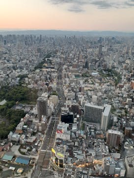 ハルカス300(展望台)に投稿された画像（2024/8/13）