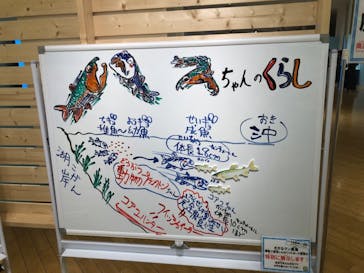 ギョギョッとサカナ★スター展　～お魚たちが教えてくれる海のこと～に投稿された画像（2024/8/13）