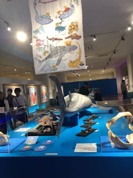 ギョギョッとサカナ★スター展　～お魚たちが教えてくれる海のこと～に投稿された画像（2024/8/13）