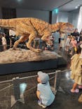 福井県立恐竜博物館に投稿された画像（2024/8/13）