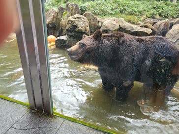 サホロリゾート　ベア･マウンテンに投稿された画像（2024/8/13）