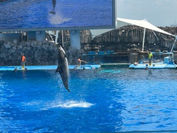 名古屋港水族館に投稿された画像（2024/8/13）