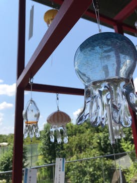 京都水族館に投稿された画像（2024/8/13）