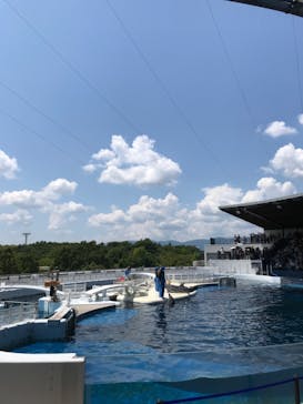 京都水族館に投稿された画像（2024/8/13）