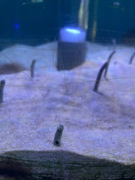 南知多ビーチランド＆南知多おもちゃ王国に投稿された画像（2024/8/13）