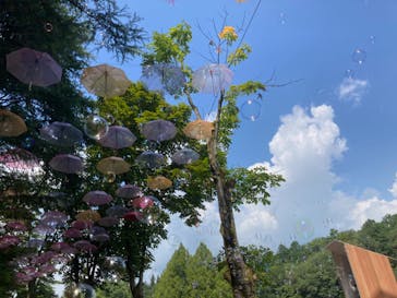 ムーミンバレーパークに投稿された画像（2024/8/13）