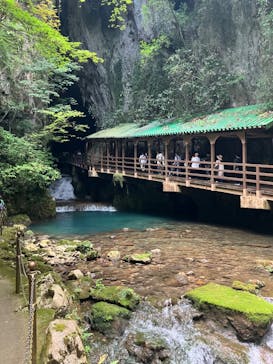 秋芳洞に投稿された画像（2024/8/13）