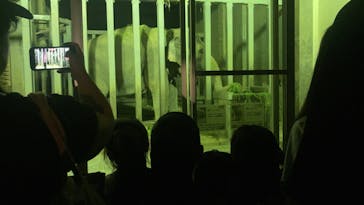 日立市かみね動物園に投稿された画像（2024/8/13）