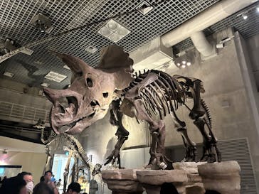 国立科学博物館に投稿された画像（2024/8/13）