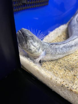 サンシャイン水族館に投稿された画像（2024/8/13）