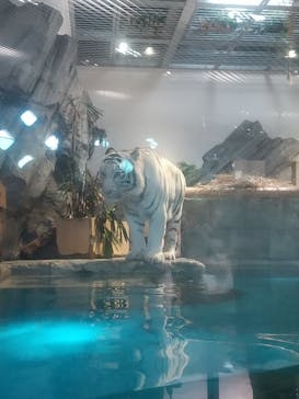 NIFREL（ニフレル）に投稿された画像（2024/8/13）