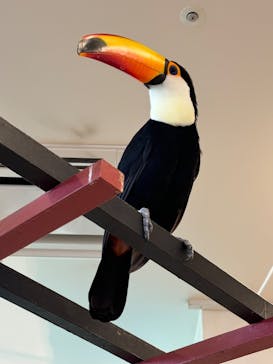 アニタッチみなとみらいに投稿された画像（2024/8/13）