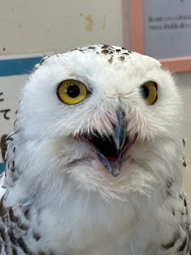 アニタッチみなとみらいに投稿された画像（2024/8/13）