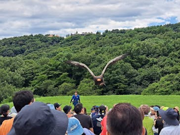 鴨川シーワールドに投稿された画像（2024/8/13）