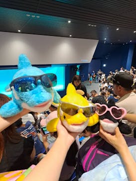 鴨川シーワールドに投稿された画像（2024/8/13）