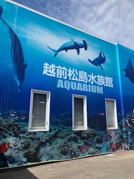 越前松島水族館に投稿された画像（2024/8/13）