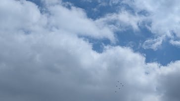 ザキッズ 横浜ノースポートモール店に投稿された画像（2024/8/13）