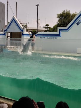 しながわ水族館に投稿された画像（2024/8/13）