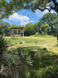 天王寺動物園に投稿された画像（2024/8/13）