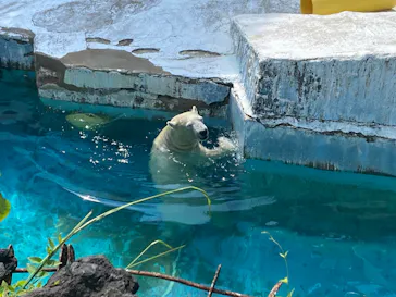天王寺動物園に投稿された画像（2024/8/13）