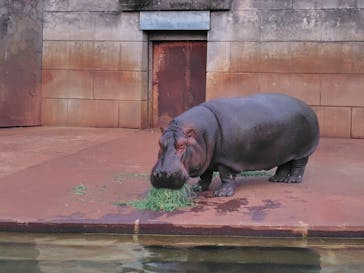 名古屋市東山動植物園に投稿された画像（2024/8/13）