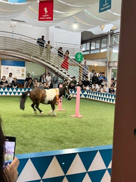 ノーザンホースパークに投稿された画像（2024/8/13）