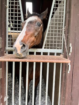 ノーザンホースパークに投稿された画像（2024/8/13）